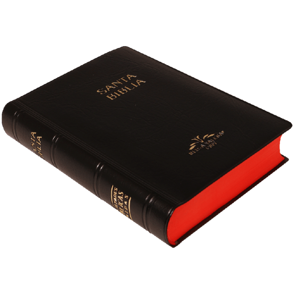Biblia De Bolsillo, Vinil, Negro, Rvr 1909 - Image 2