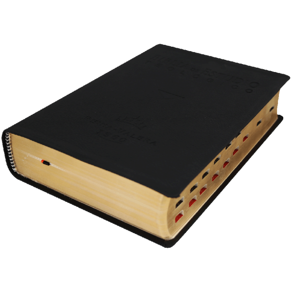Biblia de Estudio Teológico RVR60 cuero legítimo - Image 6