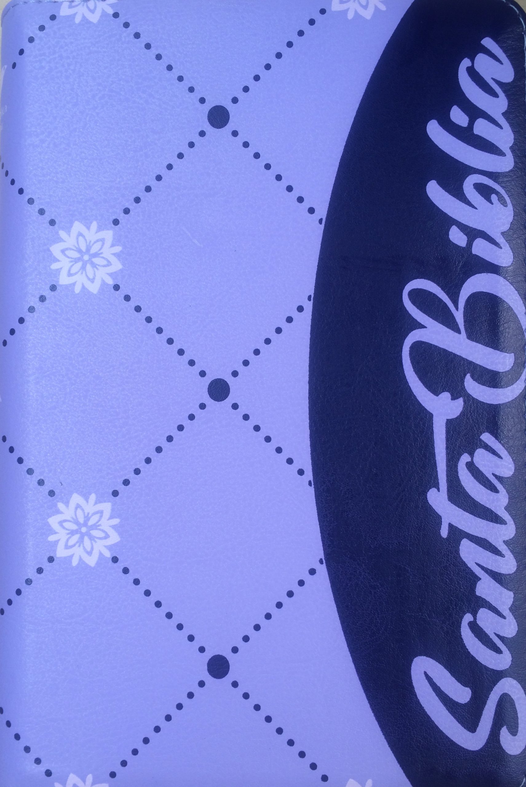 Biblia 12 pt Cierre RV1960 manual im piel lila canto morado