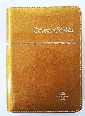 Biblia Bolsillo Rvr1960 Full Color Naranja Con Índice/cierre