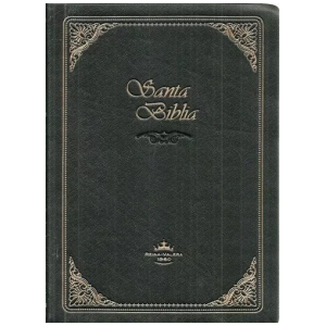 Biblia Chica, Canto Pintado Rvr1960, Cubierta Vinil, Negro