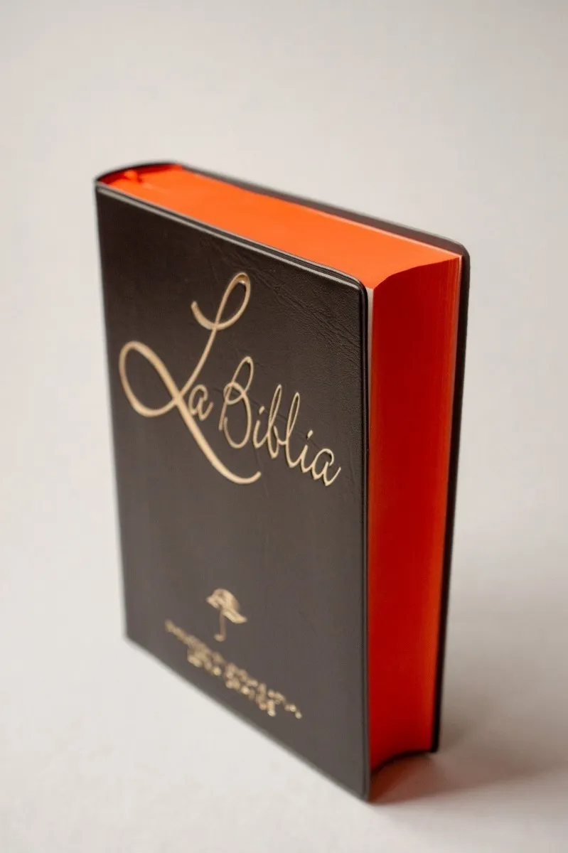Biblia Chica Letra Grande Vinil Negro TLA
