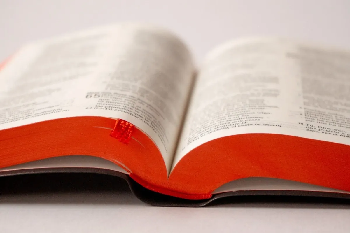 Biblia Chica Letra Grande Vinil Negro TLA
