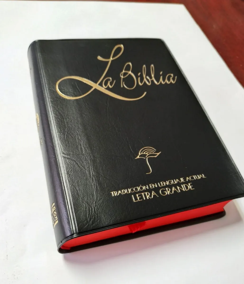 Biblia Chica Letra Grande Vinil Negro TLA