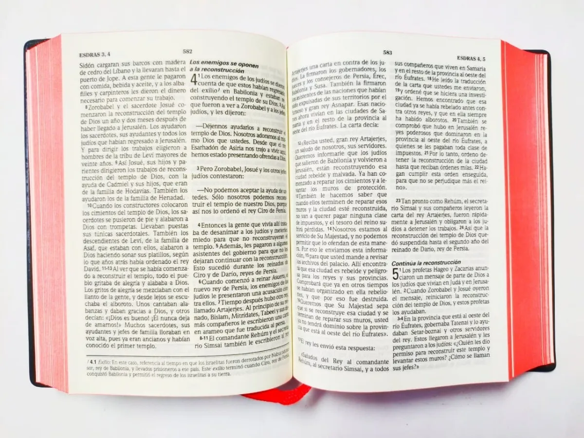 Biblia Chica Letra Grande Vinil Negro TLA