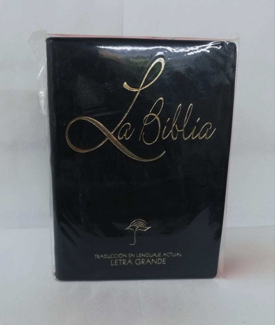 Biblia Chica Letra Grande Vinil Negro TLA
