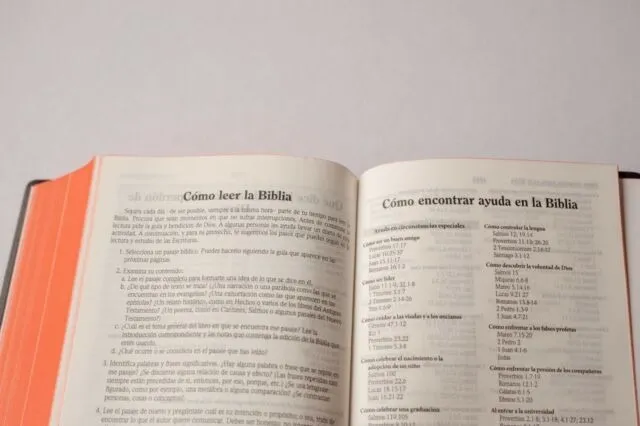Biblia Chica Letra Grande Vinil Negro TLA