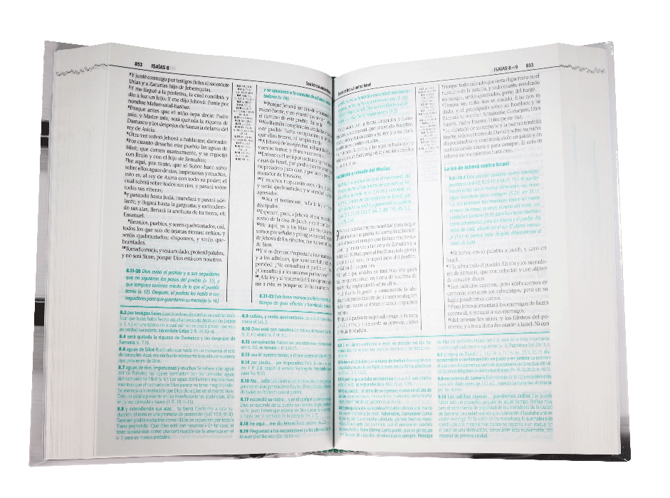 Biblia Color Azul Amarillo RVR 1960 RVR045cZTILM PJR