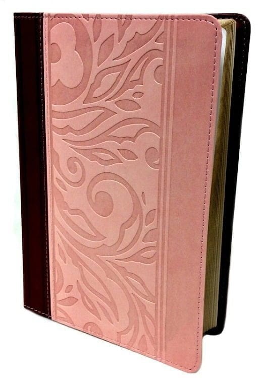 Biblia Compacta Con Referencias Rvr1960, Rosa/vino