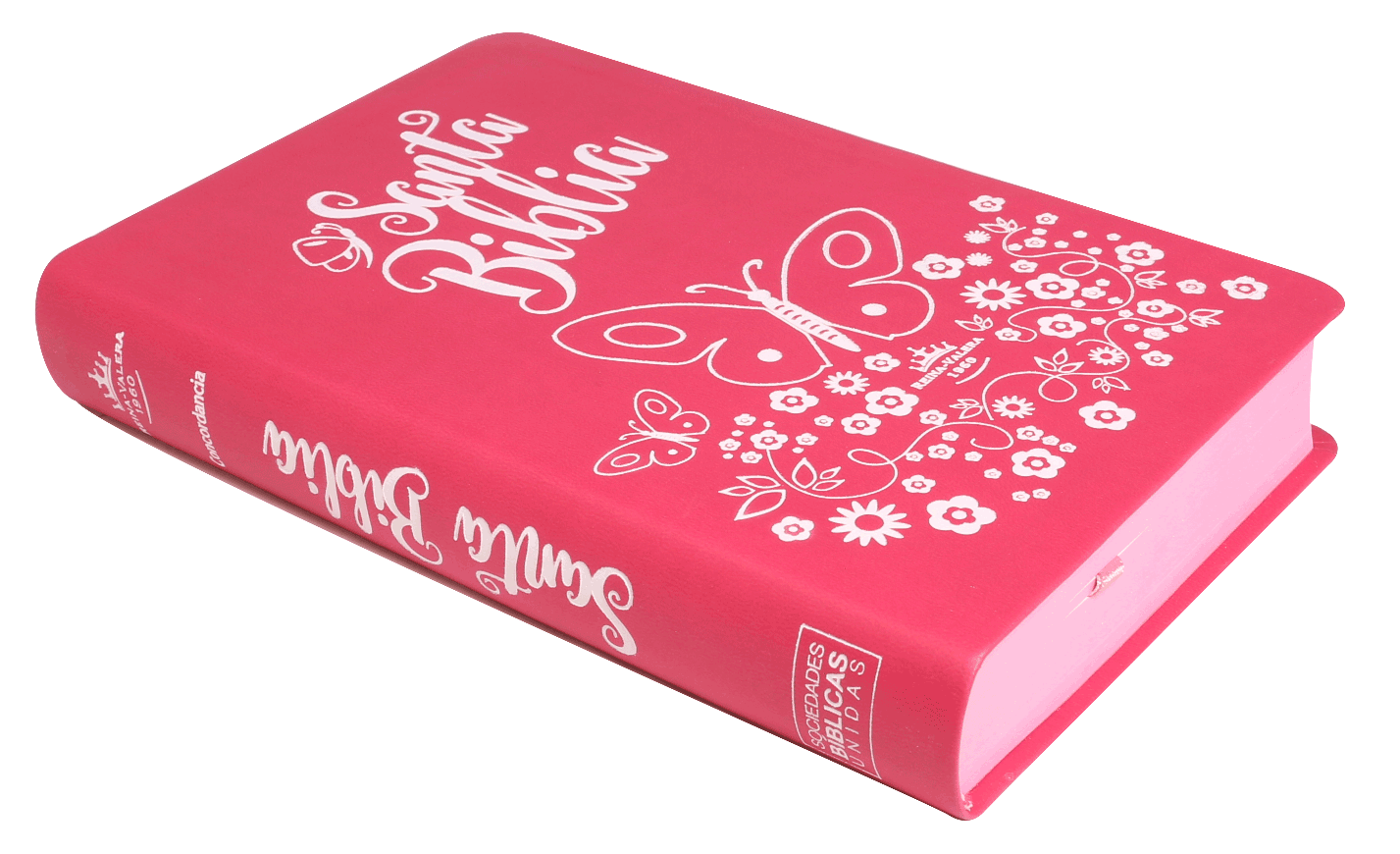 Biblia con Letra Grande Concordancia Amplia RV1960
