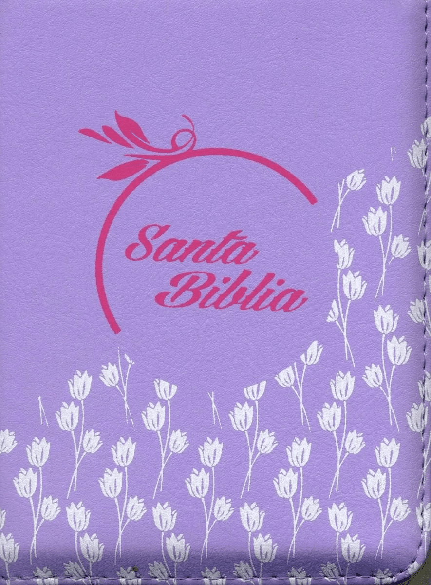 Biblia De Bolsillo Con Cierre Rvr1969, Imitación Piel Lila