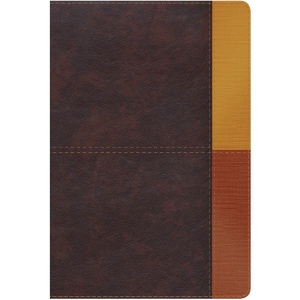 Biblia De Estudio Arcoiris Rvr60 Símil Piel Tres Tonos Café