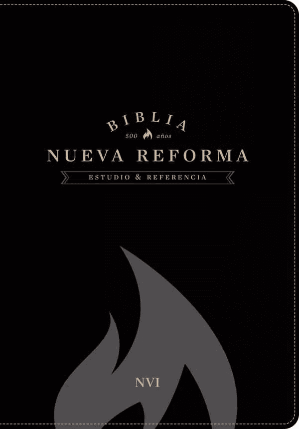 Biblia De Estudio Nvi, Nueva Reforma, Imitación Piel Negro