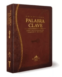 Biblia de Estudio Palabra Clave Piel Especial marrón