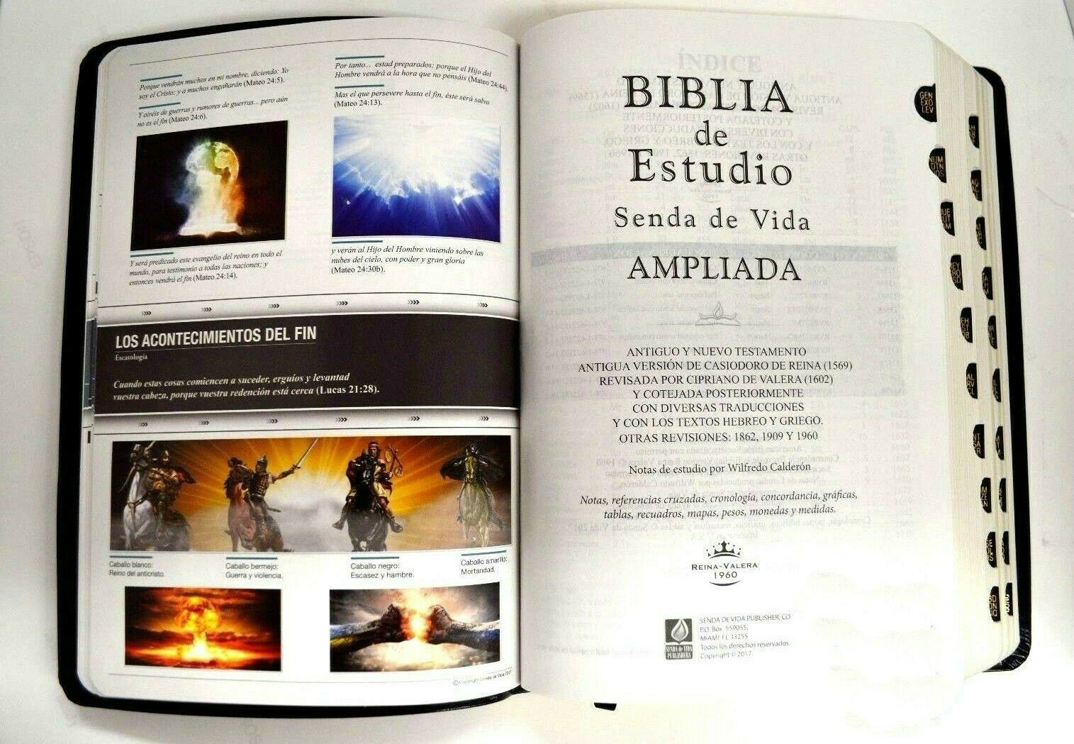 Biblia De Estudio Senda de Vida Ampliada Piel Negro índice R