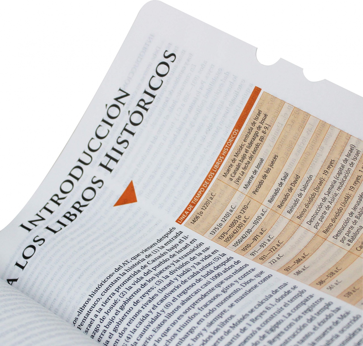 Biblia de Estudio Teológico RVR60 cuero legítimo