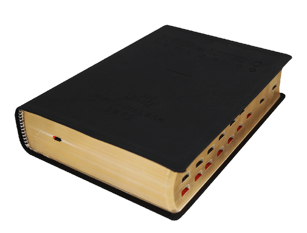 Biblia de Estudio Teológico RVR60 cuero legítimo