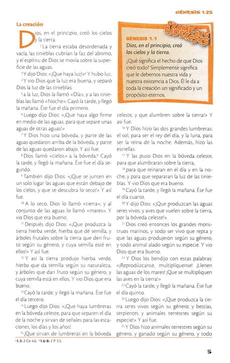 Biblia De Poder Para Niños Rvc, Piel Especial