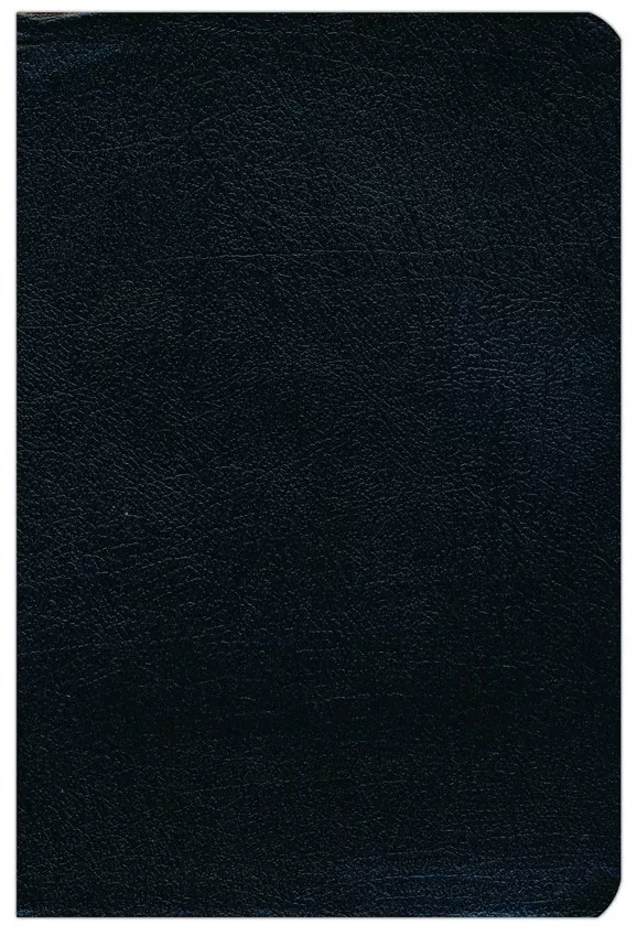 Biblia De Referencia Thompson Rvr 1960 Piel Especial