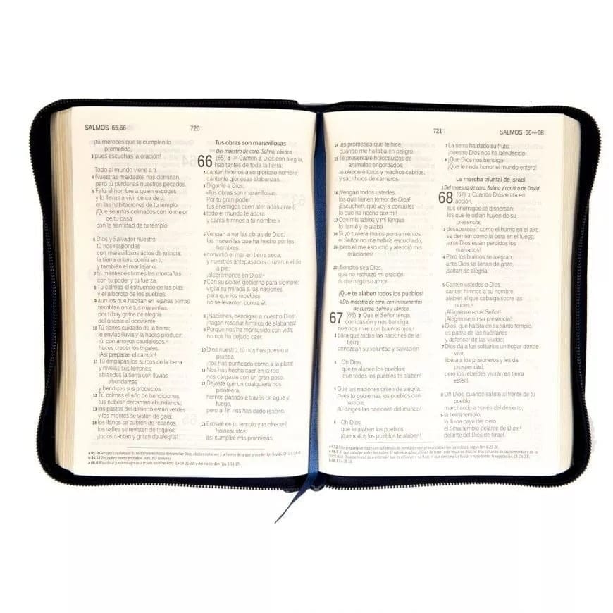 Biblia Dios Habla Hoy Dhh, Letra Grande Con Deuterocanónicos