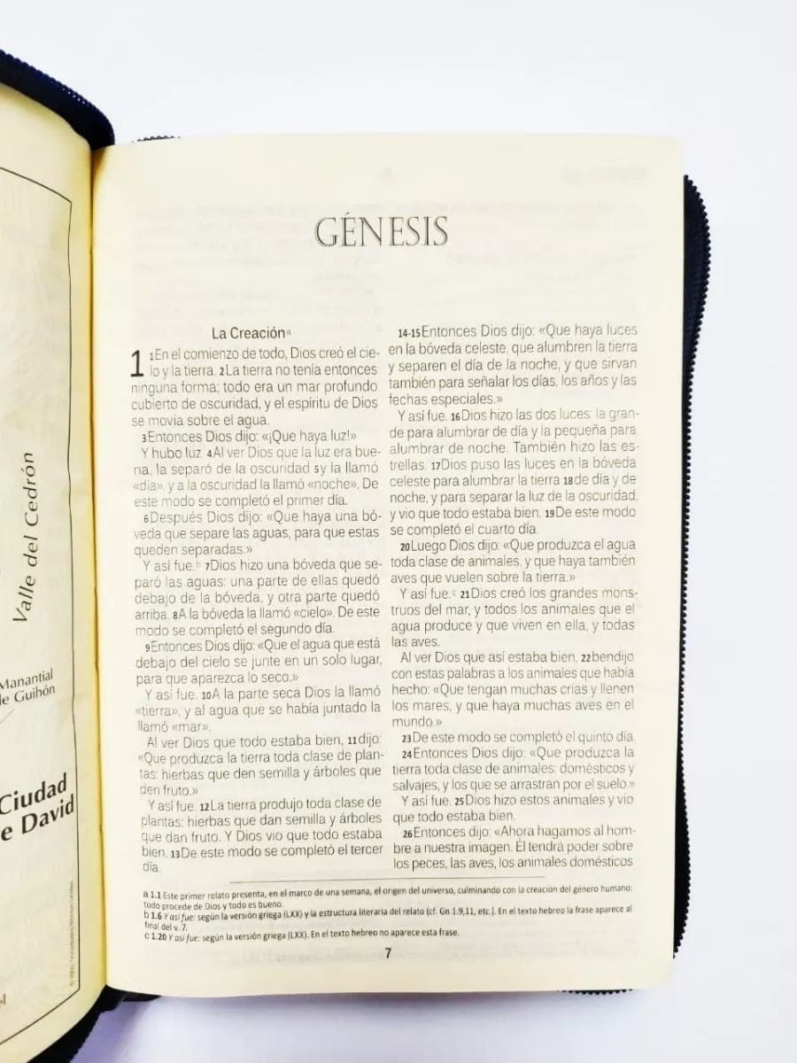 Biblia Dios Habla Hoy Dhh, Letra Grande Con Deuterocanónicos