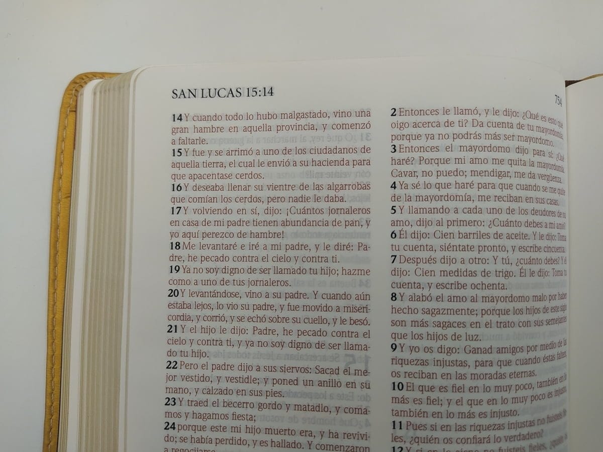 Biblia Ed Especial Referencias Rvr1960 Oro/marrón, Imit Piel