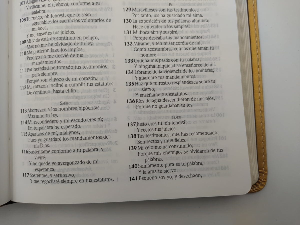 Biblia Ed Especial Referencias Rvr1960 Oro/marrón, Imit Piel