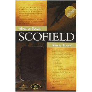 Biblia Estudio Scofield Tamaño Personal Rvr60 Imitación Piel