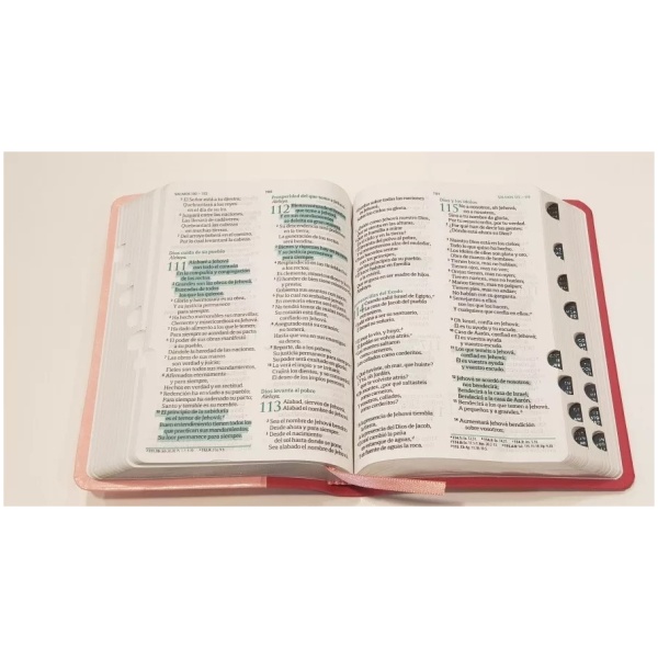 Biblia Fuente De Bendiciones Indice Y Concordancia Rvr1960 - Image 4