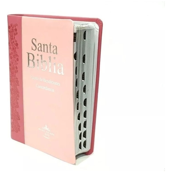 Biblia Fuente De Bendiciones Indice Y Concordancia Rvr1960 - Image 7