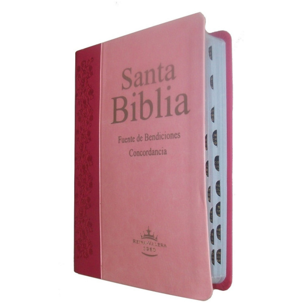 Biblia Fuente De Bendiciones Indice Y Concordancia Rvr1960 - Image 6