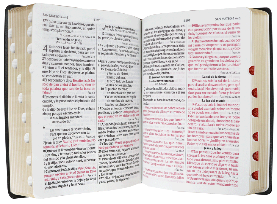 Biblia Letra Grande Concordancia RV1960 manual vinil marrón índice