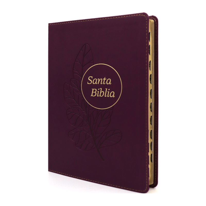 Biblia Letra Grande RVR60 Referencia Ultrafina Ciruela índice