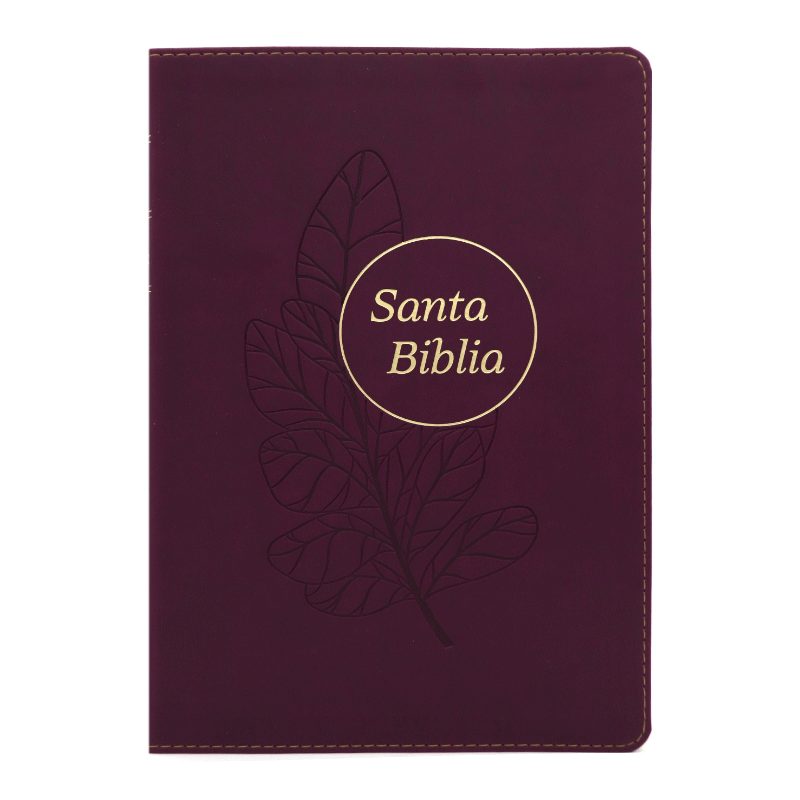 Biblia Letra Grande RVR60 Referencia Ultrafina Ciruela índice