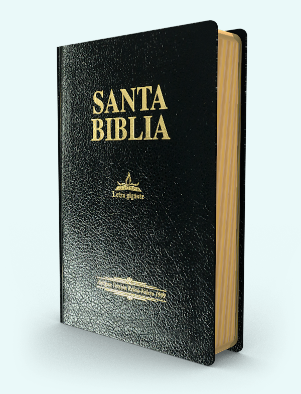 Biblia Lt Gigante con Concordancia RVA1909 im piel negra 14 pt