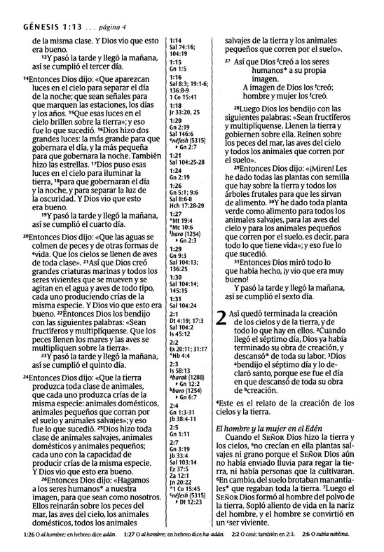 Biblia NTV Edición de referencia ultrafina letra grande
