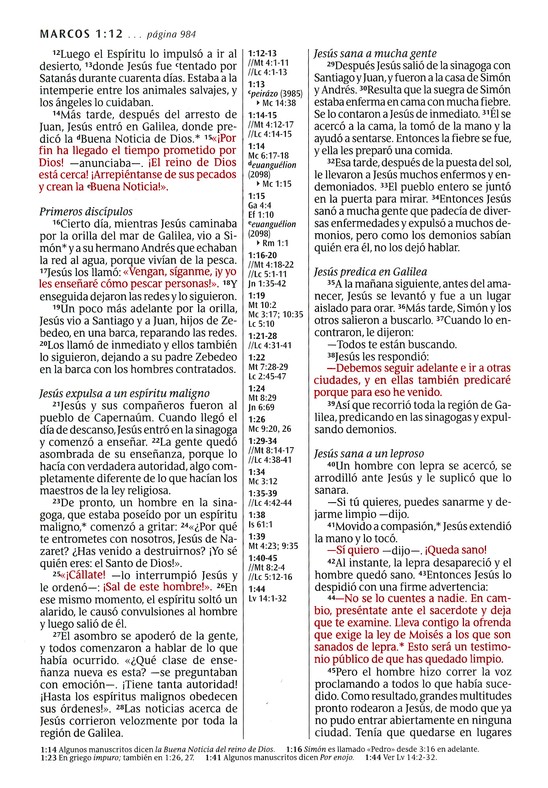 Biblia NTV Edición de referencia ultrafina letra grande