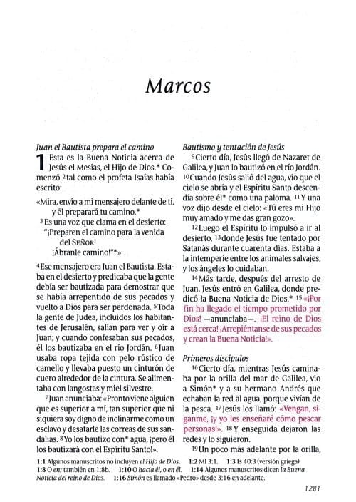 Biblia Ntv, Edición Personal, Letra Grande, Rosa Café