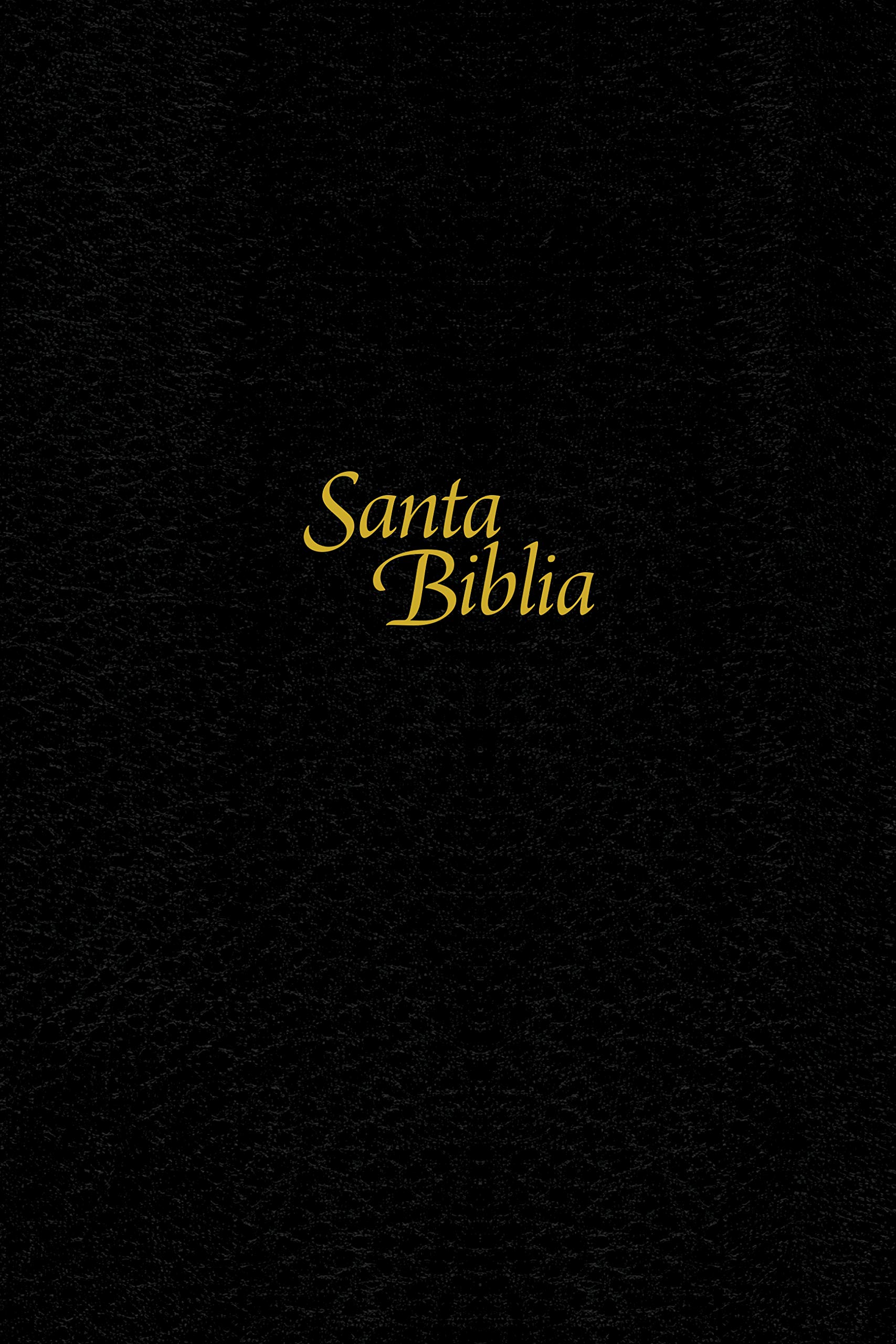 Biblia NTV Edición Personal Negro letra grande