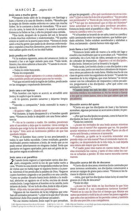 Biblia NTV promesas juvenil piel
