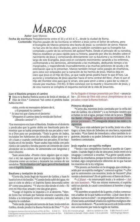 Biblia NTV promesas juvenil piel