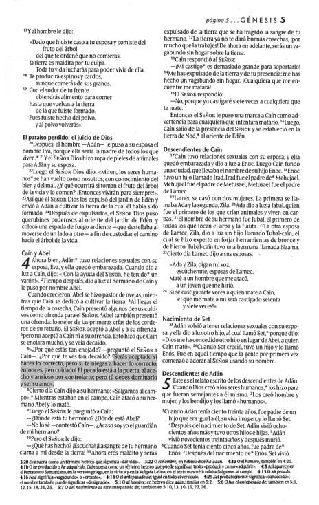 Biblia NTV promesas juvenil piel