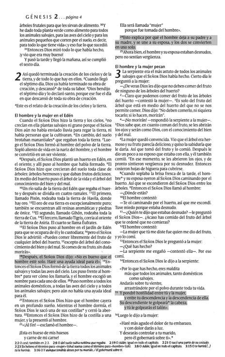 Biblia NTV promesas juvenil piel