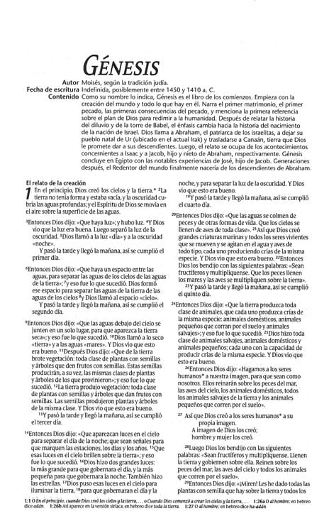 Biblia NTV promesas juvenil piel