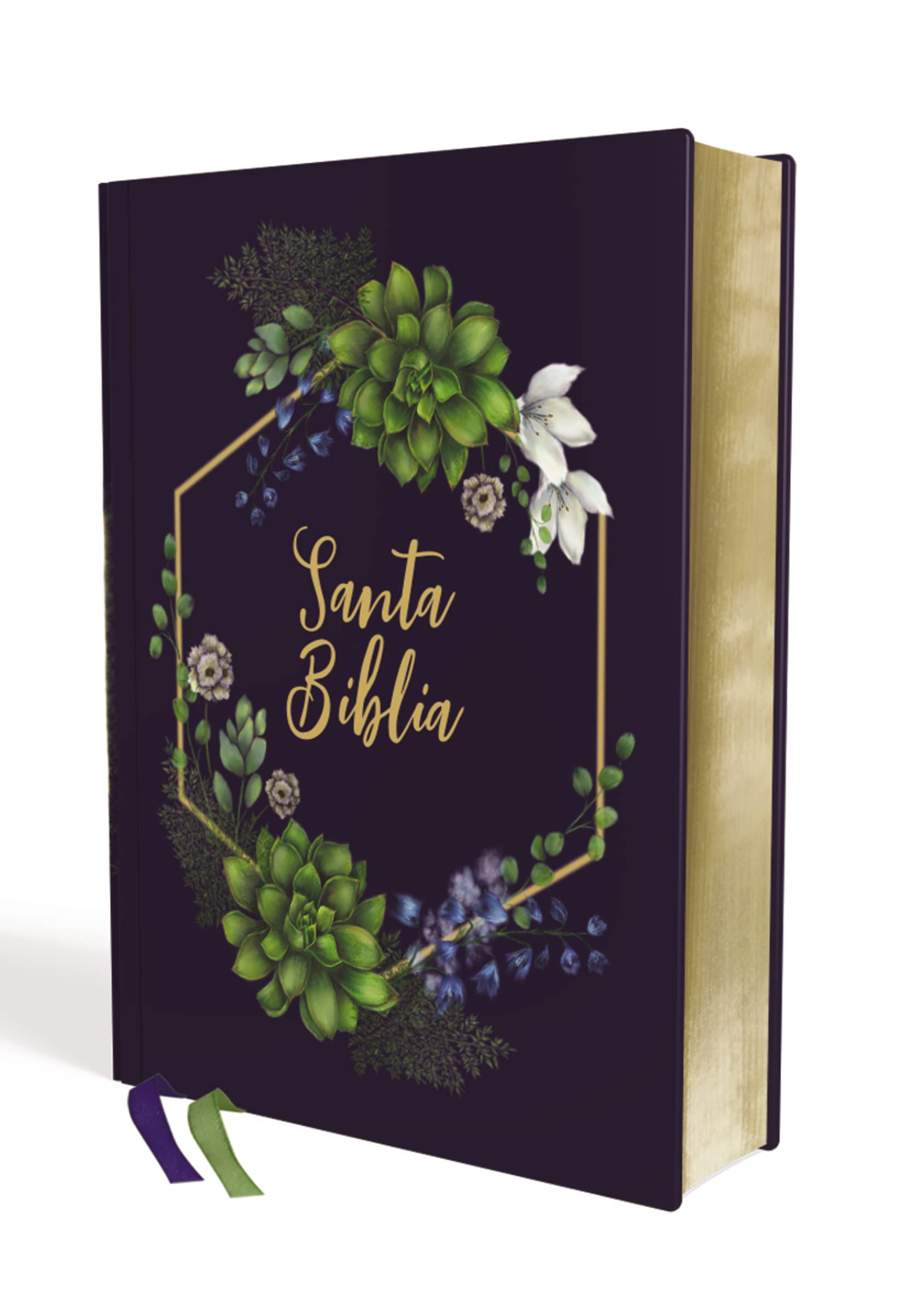 Biblia NVI 2022 Artística Tapa Dura Tela Diseño