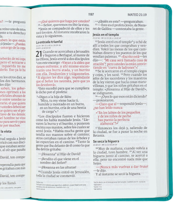 Biblia NVI aguamarina cuero italiano 13pt 080cLG