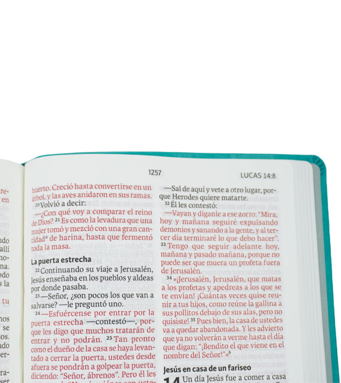 Biblia NVI aguamarina cuero italiano 13pt 080cLG