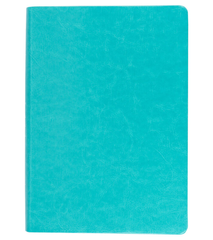Biblia NVI aguamarina cuero italiano 13pt 080cLG