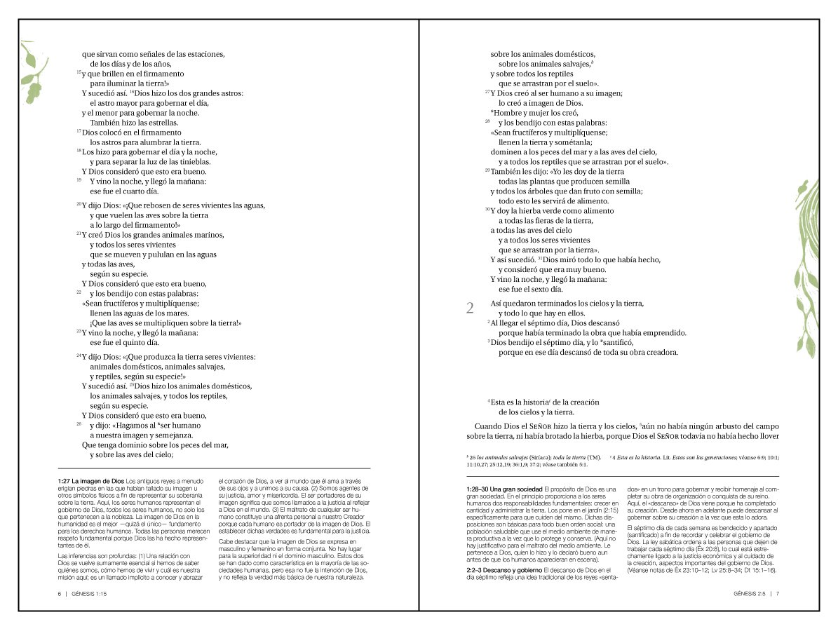 Biblia NVI Justicia De Dios Rústica
