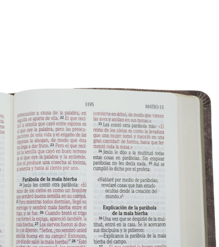 Biblia NVI Letra Grande Manual Madera 11pt cuero italiano